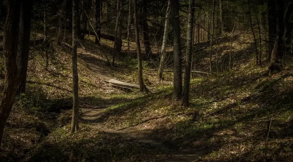 Direct Trail Access